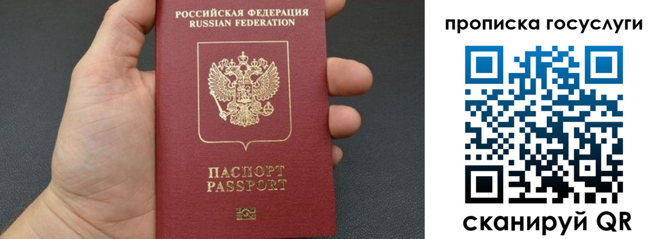купить прописку в Московской области